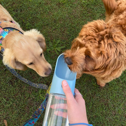 The Park Bottle
