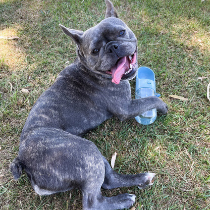 The Park Bottle
