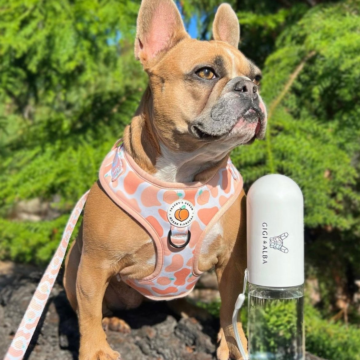 The Park Bottle