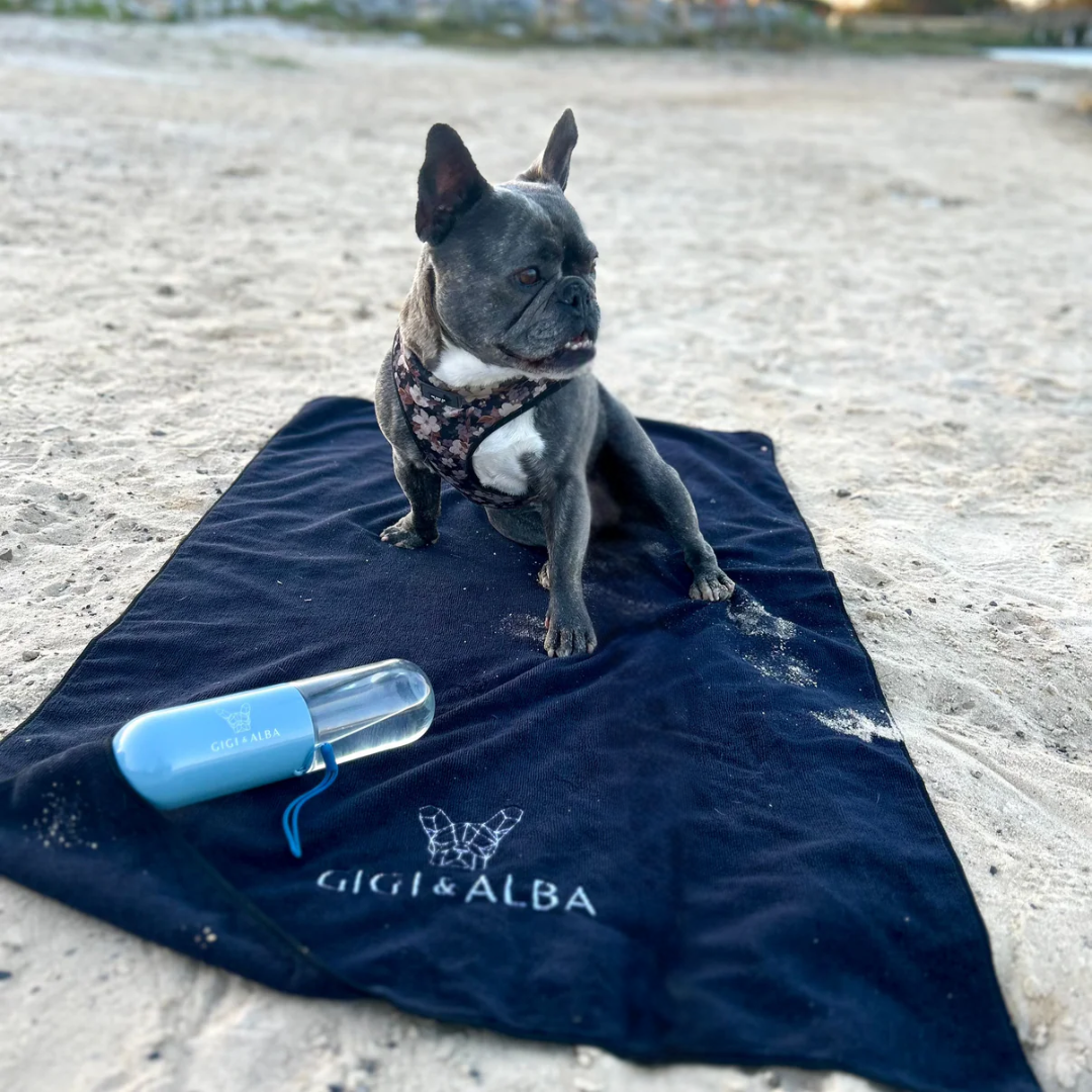 Cosy Dog Towel